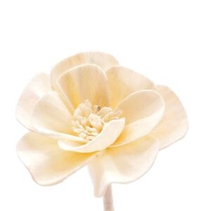 HOME FRAGRANCE WITH FLOWER PRADY